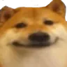 dogsmile