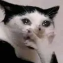 omg