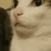 shhh