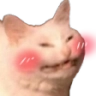 catblushy Discord emoji