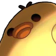 ducky_intimidate