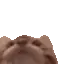 Tasty