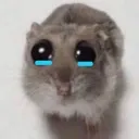 el