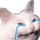 crying2