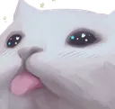 psycatcute psycatcute