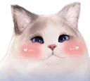 Psycat_Blush