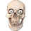 skullBRUHHHH