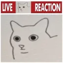 livereact