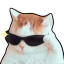 CatCool_P2U Discord emoji