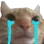 catcry
