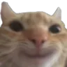 catsmiley