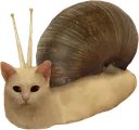 snailcat
