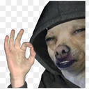 dogok Discord emoji