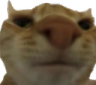 whatwasthat Discord emoji