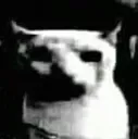 483d93f8d4eb40258f0f6ee9e65de0ff