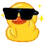 duckWink