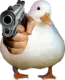 1133043454717460551
