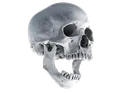 skullshock