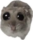 m_hamstersad Discord Emoji