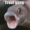 TroutGang
