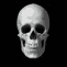 skullgif Discord emoji