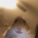 emoji_180 Discord emoji