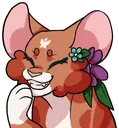 Honhehe