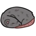 vp_rat_sleep