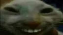 xdd