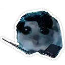 hamstertom