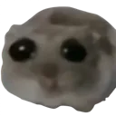 tt_gwahhh
