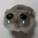 sniffle