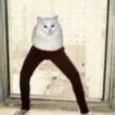 legdaycat Discord Emoji