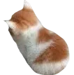 ysadcat