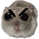 grr