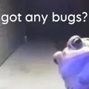 bug