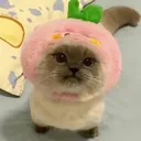 emoji_447