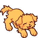 2r_puppywag