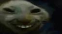 xddsmooch