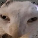 GUH