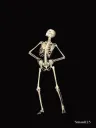 skull_spooky