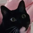 mochiWHA