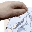 voidPet