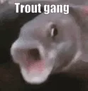 troutgang