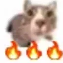 miaufire