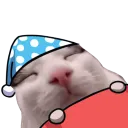 plinkBedge