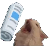 CatBonking_TL