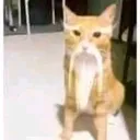 c3ae3a393bc16569bef56886dc617305