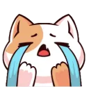 Cat_cry Cat_cry