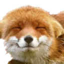 foxuwu